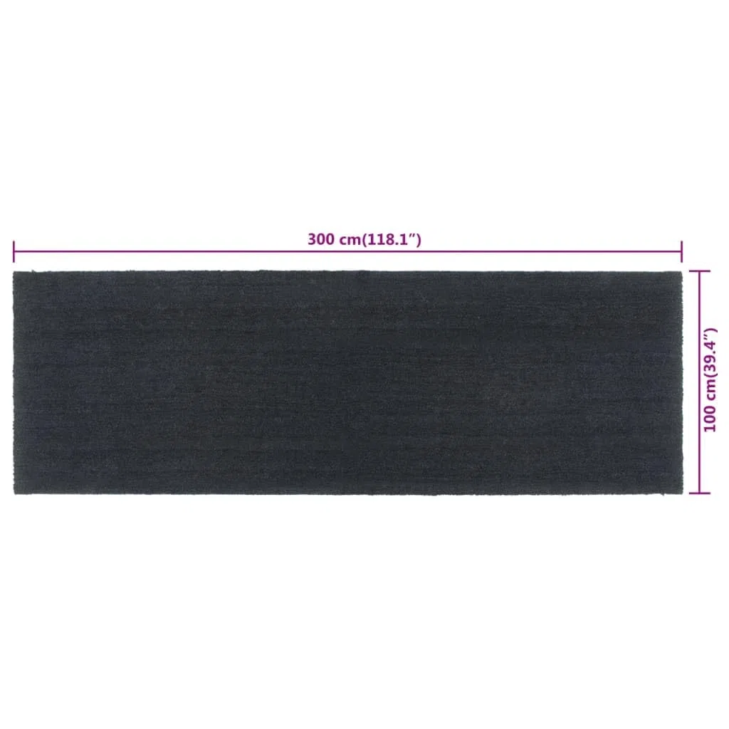 Felpudo gris oscuro de fibra de coco 100 x 300 cm con base antideslizante de PVC para interior y exterior, entrada pasillo, terraza, jardín