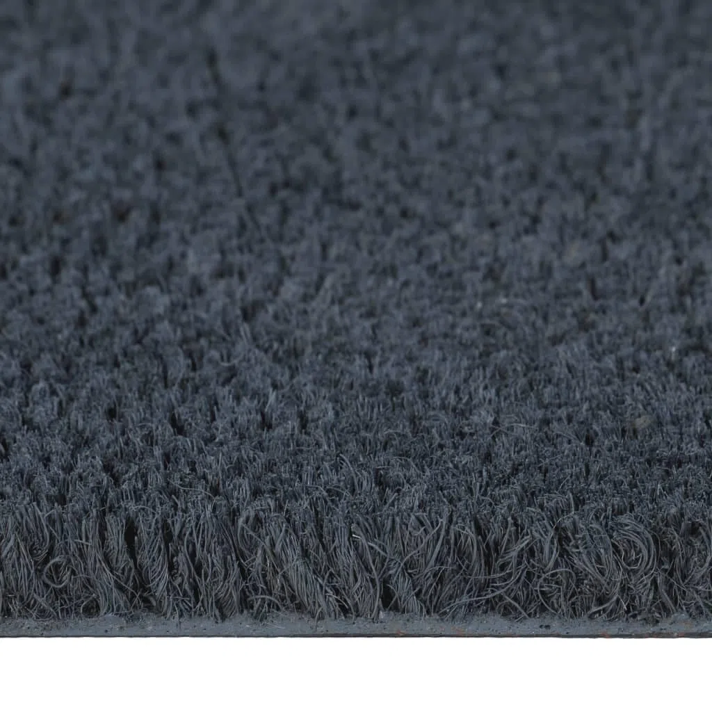 Felpudo gris oscuro de fibra de coco 100 x 300 cm con base antideslizante de PVC para interior y exterior, entrada pasillo, terraza, jardín